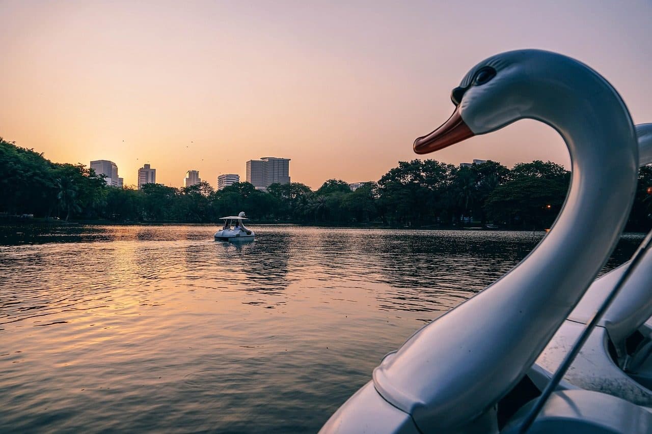 A swan-shaped paddle boat on the lake in Lumphini Park at sunset